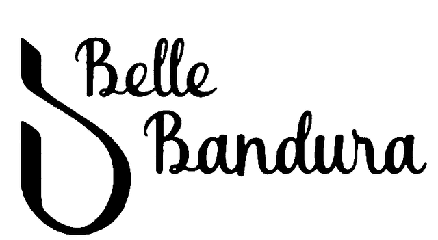 Partner organisation